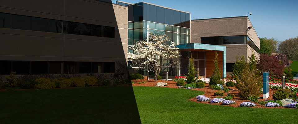 Whites Creek Landscapers