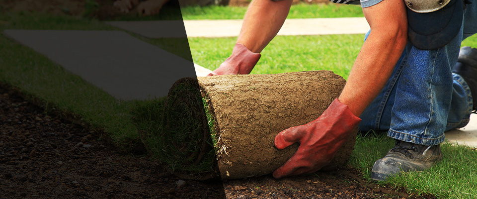 Whites Creek Landscapers